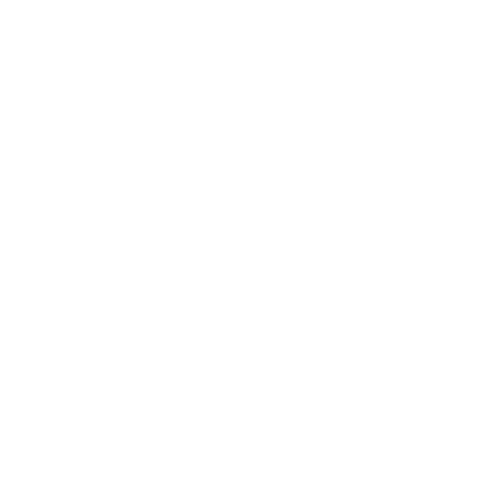 Logo InstagramBIG Bianco